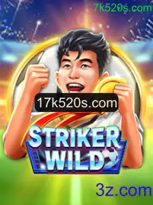 StrikerWILD: Uma Experiência de Jogo Dinâmica e Empolgante
